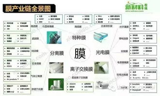 菜菜互联，重塑农业产业链，赋能智慧农业新时代
