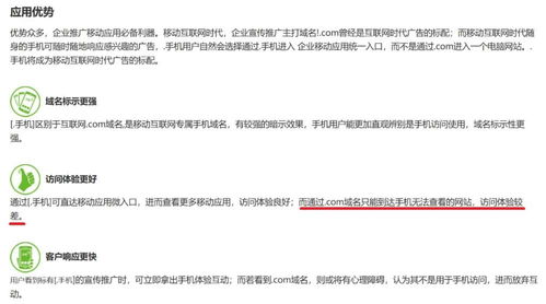 域名抢注后出售，法律责任与合规探讨