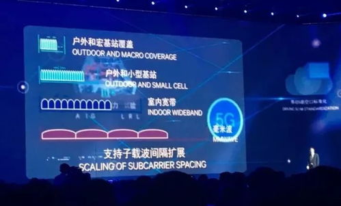倚枫互联官网，以技术为驱动，打造智慧互联新未来