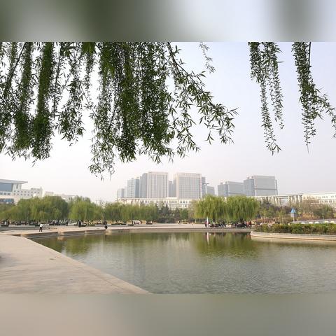引领行业变革，齐鲁主机网官网打造高效服务器新篇章