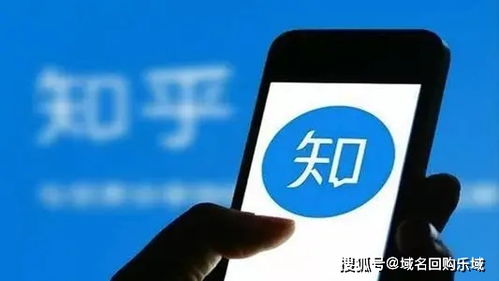 中网国际，打造全球互联网新生态，塑造域名主机服务新篇章