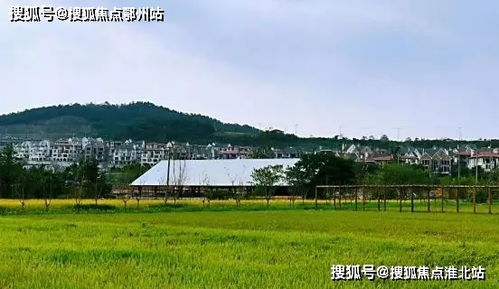 蓝队网络服务器租用价格，云南市场中的性价比之选