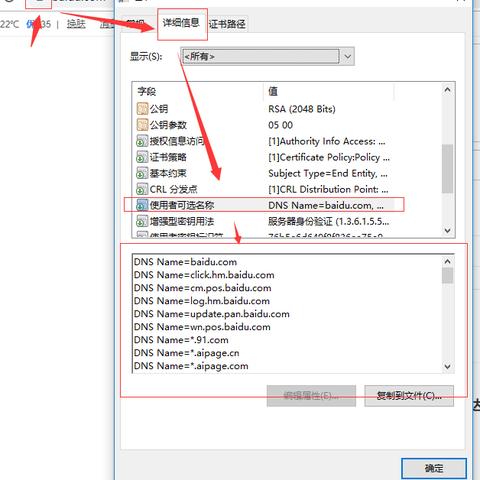 地址栏输入监控域名打不开，要通过百度搜索才能打开，原因与解决方案