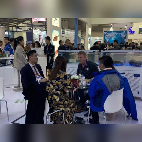 易网国际官网，打造全球互联网连接新高度