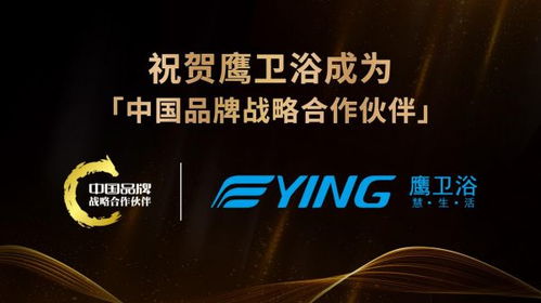 美讯互联，重塑数字时代下的品牌传播与战略创新