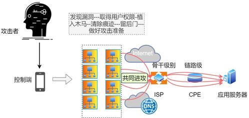 申请域名后在自助DNS解析服务中的TTL，深度解析与实战应用