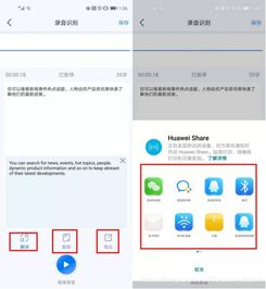 新网域名转发设置详解，轻松实现域名跳转与管理的步骤