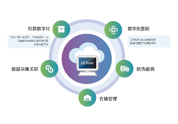 优易互联，构建数字化时代的桥梁，赋能企业高效发展