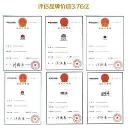 探索56数据中心官网，一站式数据中心解决方案的全方位指南