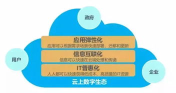 三恩互联，匠心打造网络互动新生态的领跑者
