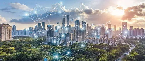 亚中互联，构建全球数字化桥梁，推动商业合作新纪元