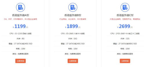 网站服务器租用共享100M，解析、优势与注意事项