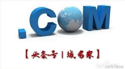 中国在因特网上的顶级域名是，CN
