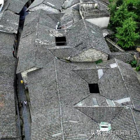 九城网络官网，互联网行业的璀璨明珠