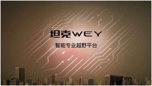探索中国U，全球化浪潮中的智慧与未来之路