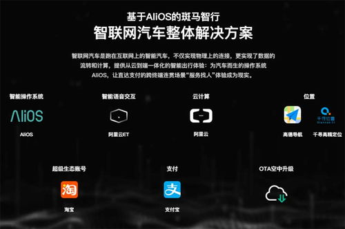 新思佳网络科技，引领未来科技的智能创新解决方案