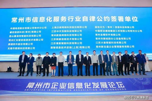 久印网络，领航数字化未来的网络解决方案专家