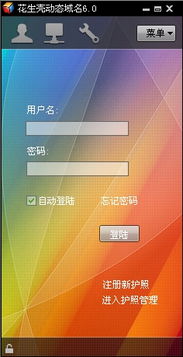 花生壳免费域名，实现远程监控的详细指南