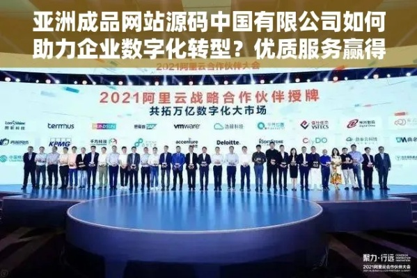 中国泰网官网，重塑商业版图，引领数字化变革