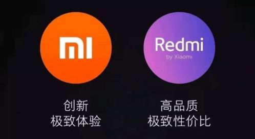 创新网络官网，提升用户体验与品牌价值的新标杆