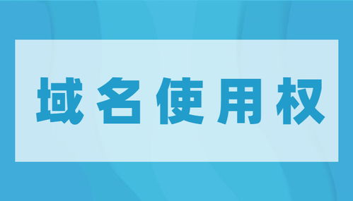 域名使用权转让后的操作指南，从注册到管理的全面解析