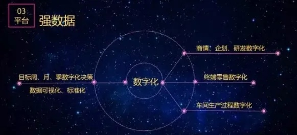 南天互联，重塑数字时代的连接与互动