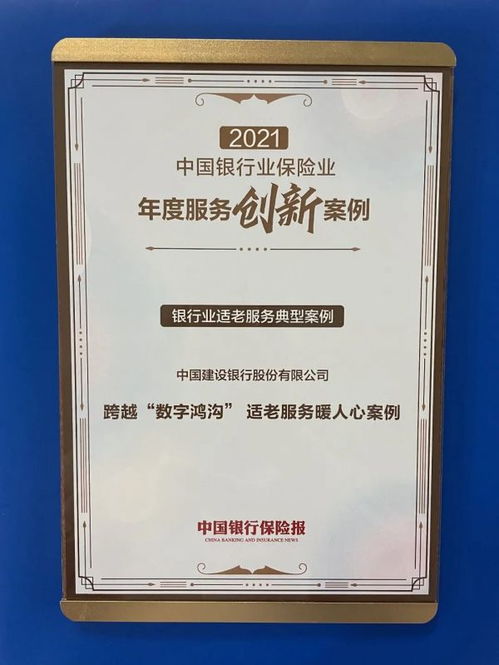 跨越数字鸿沟，世纪网络官网的革新之路与普及挑战