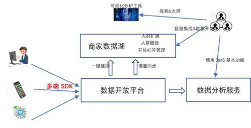 双线路虚拟主机的特点与应用解析
