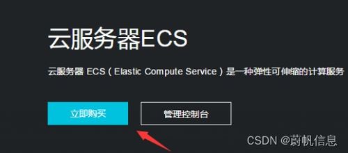 阿里云ECS云服务器，构建高效、安全、可扩展的云上世界