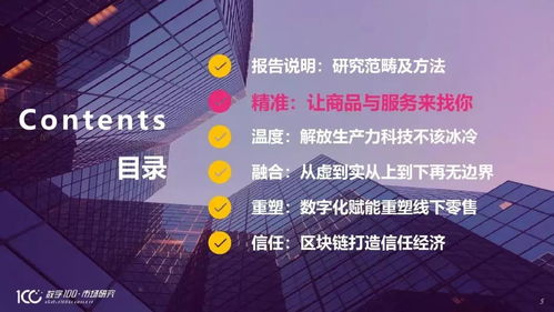 数亦网联，重塑未来数字世界的桥梁