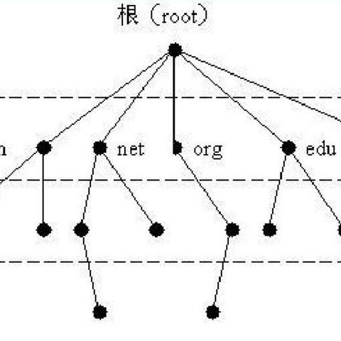 在因特网中请求域名解析的软件必须获得61A根域名服务器的域名