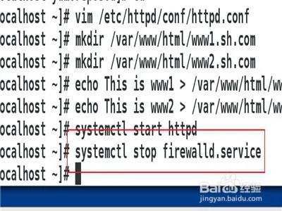虚拟机Linux上开启Apache并配置外网域名访问的详细指南