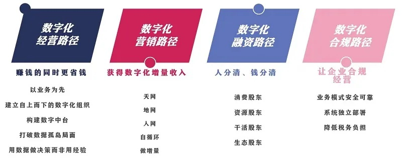 博洋网络，数字化时代的领航者，重塑商务与生活的边界