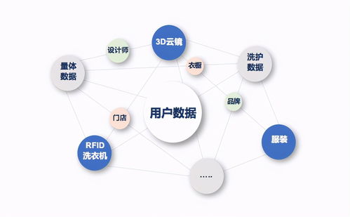 宽网互联，打造数字化时代的网络服务新生态