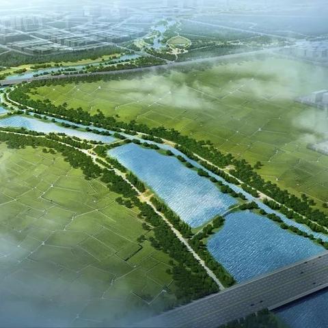 深圳九河网络官网，引领互联网未来的创新力量