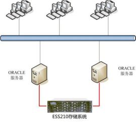 太平洋电信云主机支持的操作系统概览