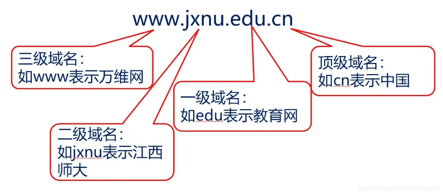 网络中的域名与域名解析，探索互联网的基础架构