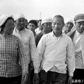群众数据官网，构建数据时代信任桥梁