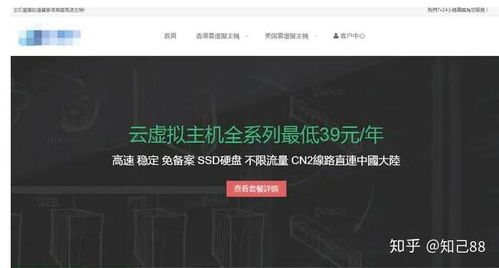 国内免备案主机，解锁企业建站的便捷之道