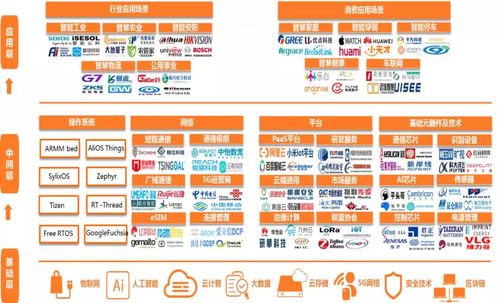 坛识网络，重塑互联网时代的智慧服务平台