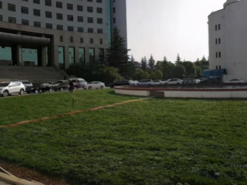 单域名、多域名与通配符，DNS管理的核心概念