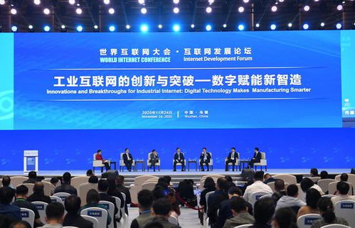驾驭数字化浪潮，探讨山林人网络官网的崛起与发展