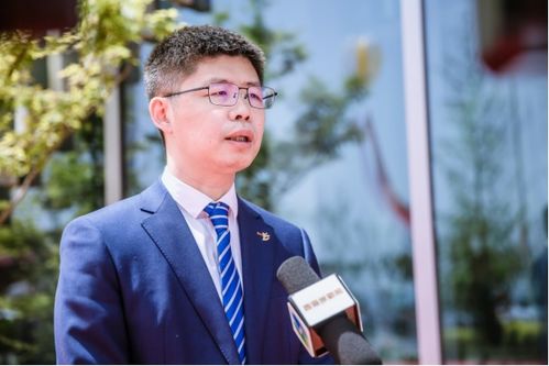 装修网取什么域名好，打造易记、有品牌力的完美域名
