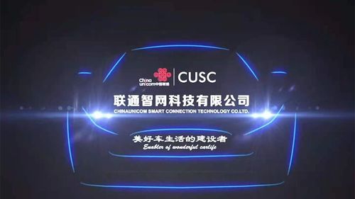 中国数据网，顶级域名服务的领航者