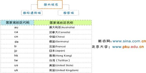 怎样查询域名被K，全面解析与应对策略