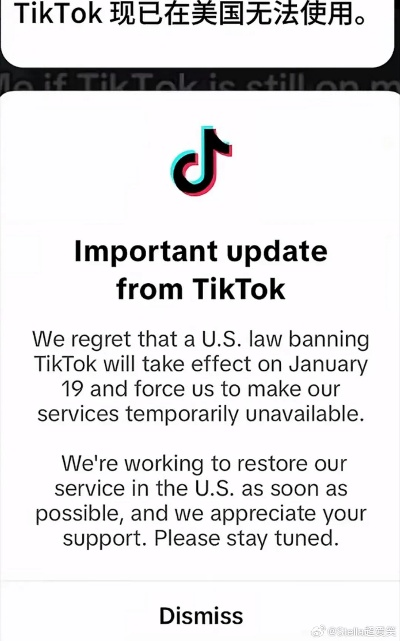 近期TK域名注册与管理受限的解析与应对