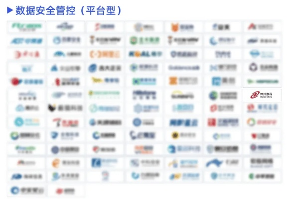 探索白金网络官网，一场安全高效的数字之旅