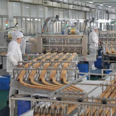 555互联官网，重塑数字时代下的企业新生态
