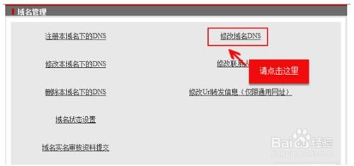 怎样为域名添加AAAA记录，详细步骤与注意事项