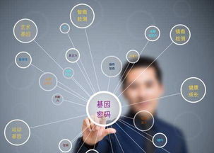 搜网络官网，精准导航网络旅途，打造数字化信息时代的桥梁
